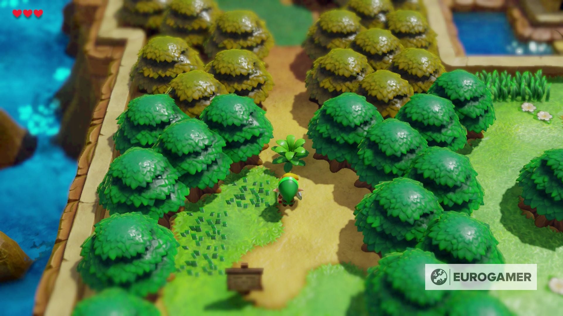 Zelda Link's Awakening Mysterious Forest's Tail Key location, and